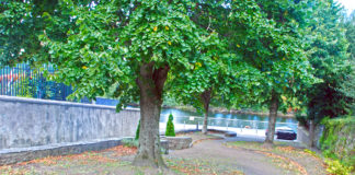 Opposition to proposed Waterloo Lane development