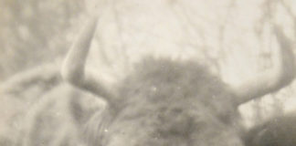 The Cabbage Garden Girl