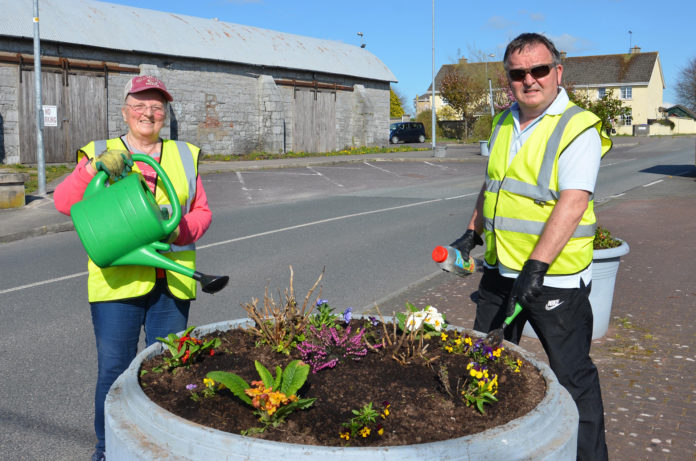 Fermoy Tidy Towns planting Covid 2020 - web@13-10-2020-16:29:51.jpg
