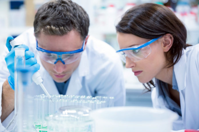 Chemist team working with pipette and test tube in the laboratory