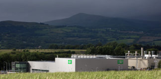 Green light for Kerrygold Extension