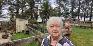 Teacher claims turbines ‘a hammer blow’ to her dream home