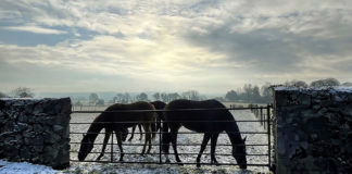 A picture that tells a thousand words