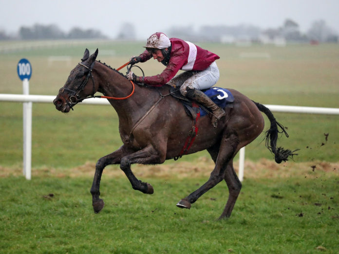 Churchstonewarrior Thurles 2021-web@03-02-2021-19:52:54.jpg