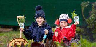 Registration for free grow-kits now open for primary school teachers