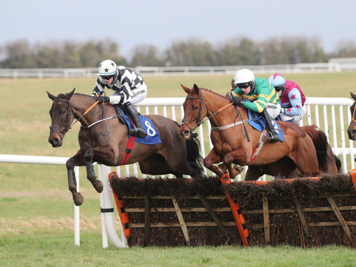 Velvet Elvis Thurles 2021 Darragh O'Keeffe - web@24-02-2021-16:31:25.jpg