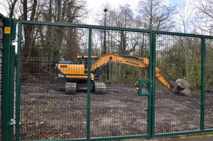 Aldi car park woods 3 - web@31-03-2021-17:07:12.jpg