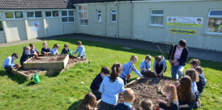 Staying busy in Ballyduff