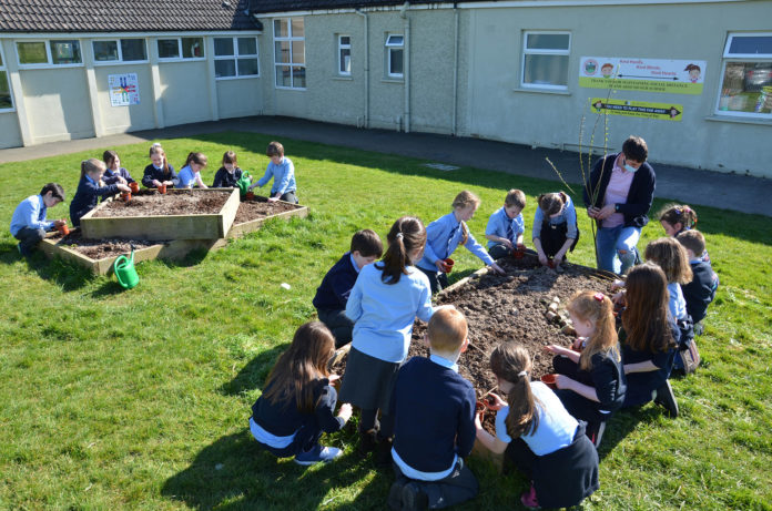 Ballyduff NS 2 - web@24-03-2021-17:27:36.jpg