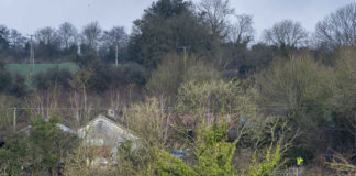 Many tributes to Mitchelstown’s Hennessy brothers