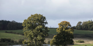 Green Belt – better than ever