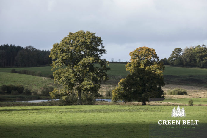Green Belt - 2 HARDWOODS NEW LOGO@20-04-2021-16:57:54.jpg