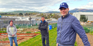 Community allotments grow from strength to strength