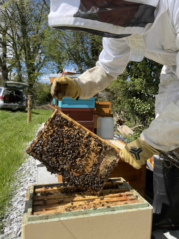 Blackwater Honey Fermoy 01 - web@19-05-2021-19:28:42.jpg