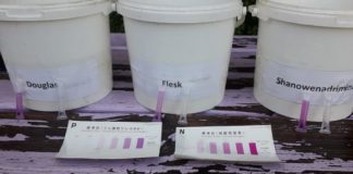 Nitrate found within tributaries of the River Bride