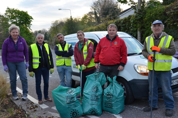 Fermoy Tidy Towns volunteers 2021-web@26-05-2021-21:43:44.jpg