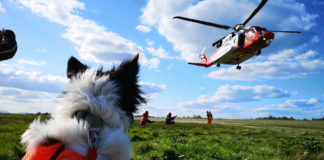 Search and rescue volunteers locate body in East Cork