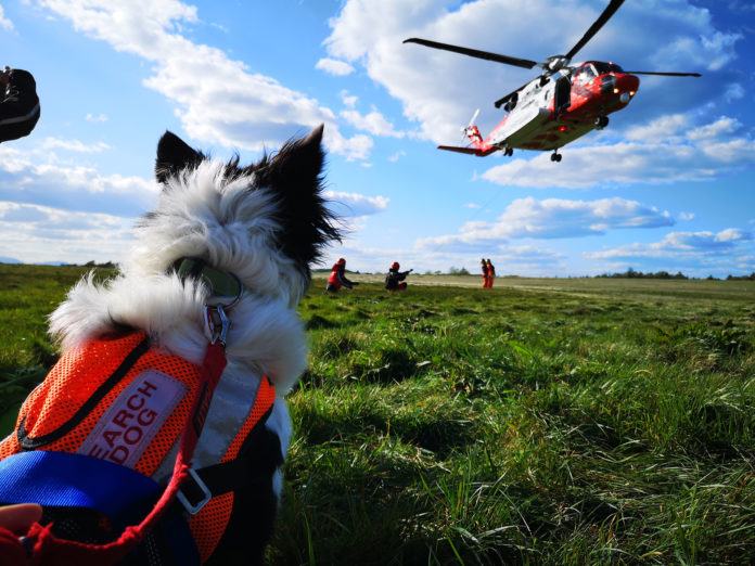 Search and rescue dogs - web@16-10-2019-11:21:57.jpg