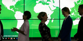 How to build resilience in a pandemic