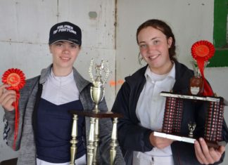 Horses, front and centre in Araglin