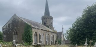 Castlehyde graveyard ‘like a jungle’