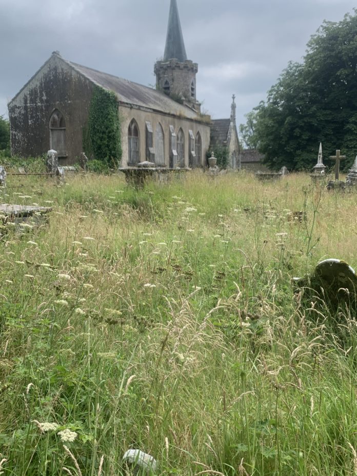 Castlehyde Graveyard@13-07-2021-15:16:40.jpg