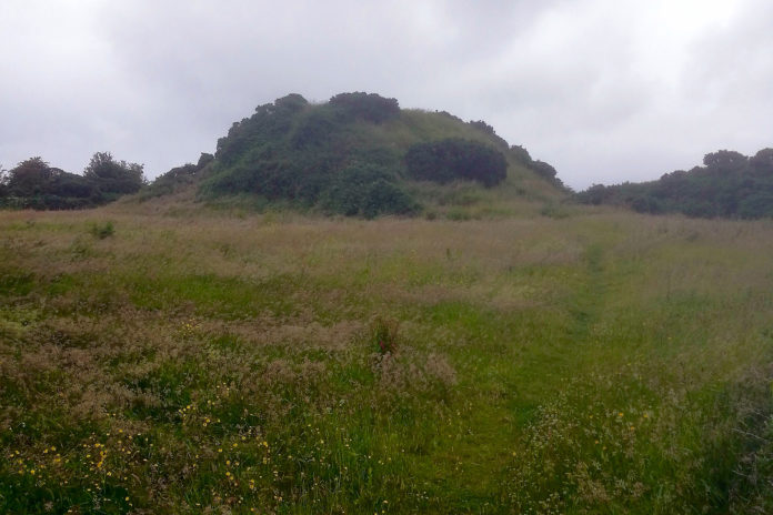 Kilfinane Motte - web@13-08-2021-17:01:50.jpg