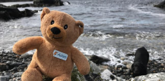 500 tonnes of plastic waste generated by children’s lost toys annually