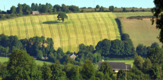 Locally-led ‘Farming with Nature’ project gets funding
