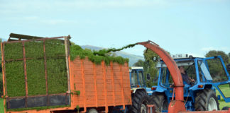 Vintage silage harvesting in Mitchelstown