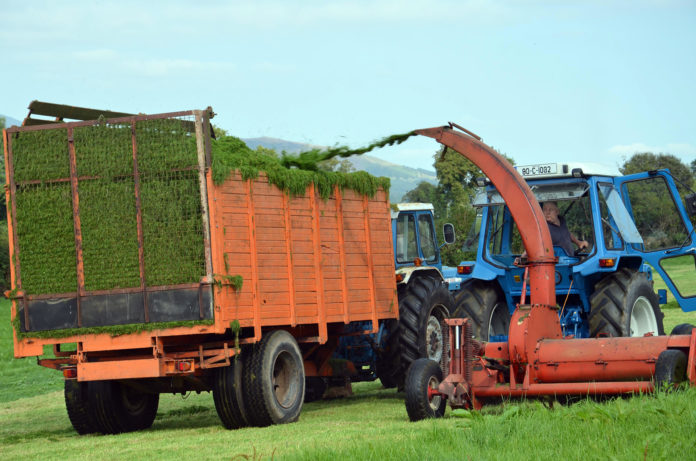 Vintage silage harvesting - web@01-09-2021-17:43:26.jpg