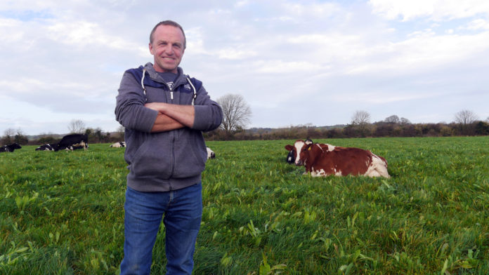 Donal Sheehan Castlelyons 1920px-web@27-10-2021-21:57:13.jpg