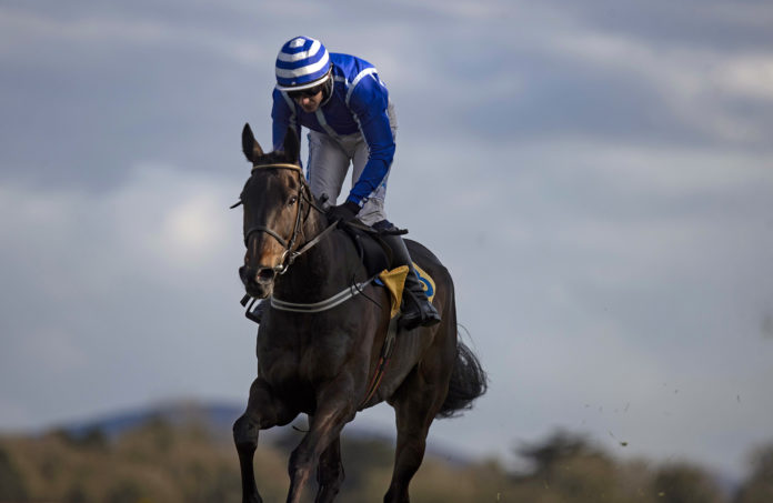 Energumene Cork Racecourse-web@01-12-2021-21:58:34.jpg
