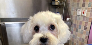 A happy turnaround for ‘Tubs’