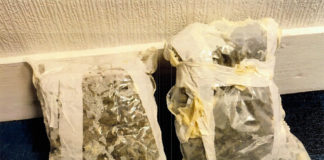 €20K in suspected cannabis seized in Fermoy