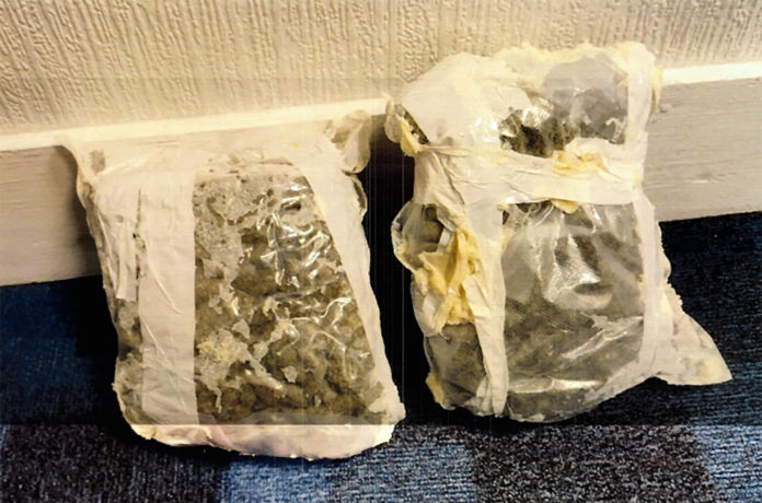 Fermoy Cannabis Seizure-web@26-01-2022-18:30:58.jpg