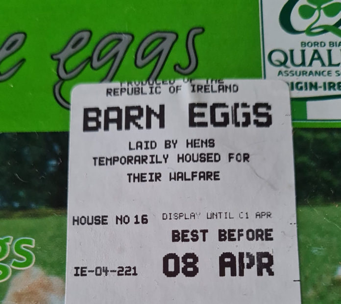 Eggs@25-03-2022-10:13:54.jpg