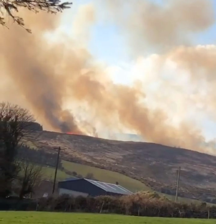 Fire Kildorrery-web@30-03-2022-18:56:16.jpg