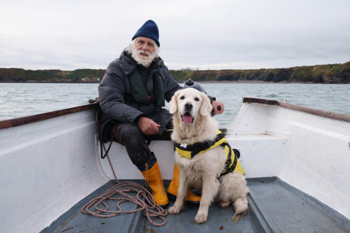 Sean Ahern 2 FV canine card 2022-web@02-03-2022-21:47:54.jpg