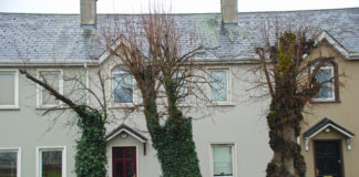 Work on Rathcormac’s historic ‘Hanging Trees’ likely to start soon