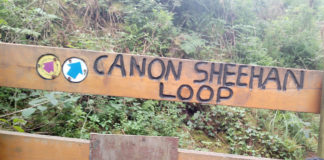 Fallen animals dumped by Canon Sheehan Loop