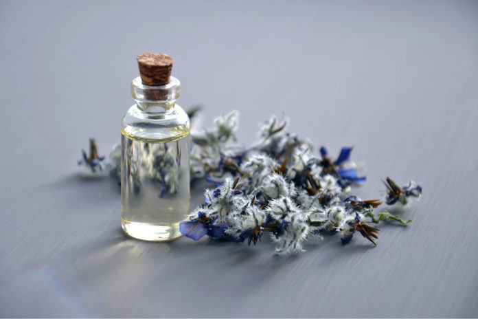 Perfume Notes Web