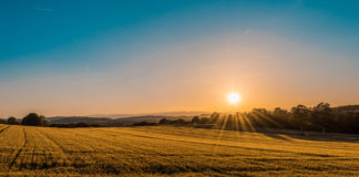 As temperatures are set to spike, check in on older neighbours, friends and relatives