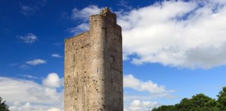 Condons sought for family gathering