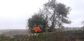 ‘Down by the Glenaboy’ in Tallow