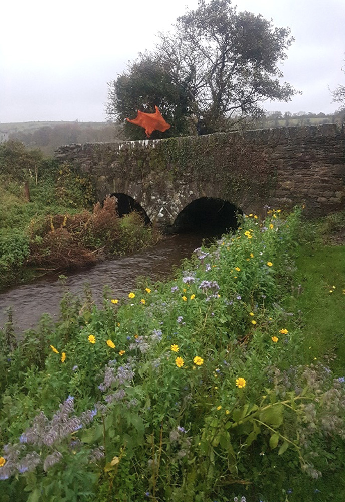 River Glenaboy Tallow - web@11-08-2022-15:37:23.jpg