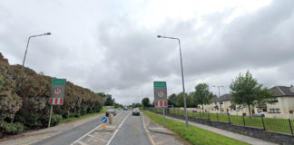 74 homes and a creche sought for Watergrasshill