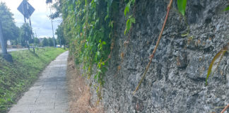 Glyphosate weedkiller in Mitchelstown: a ‘tidy’ appearance