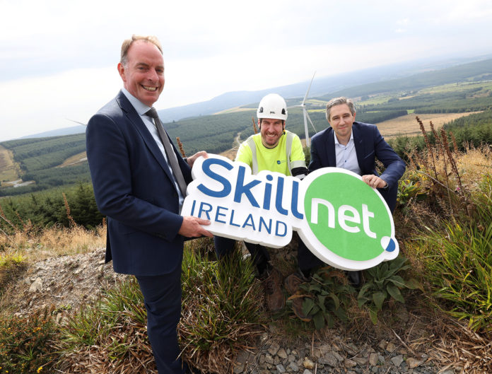 Skillnet Ireland Wind Sector 2022 - web@09-09-2022-10:11:12.jpg