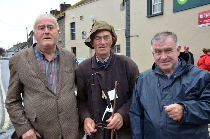 Tallow Horse Fair 2 - web@07-09-2022-18:21:56.jpg